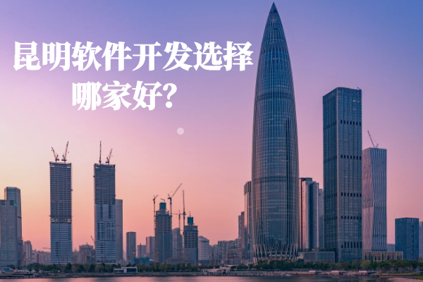 昆明软件开发选择哪家好？